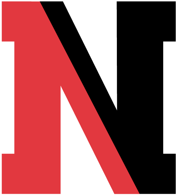 Northeastern Huskies 2004-2006 Alternate Logo diy iron on heat transfer